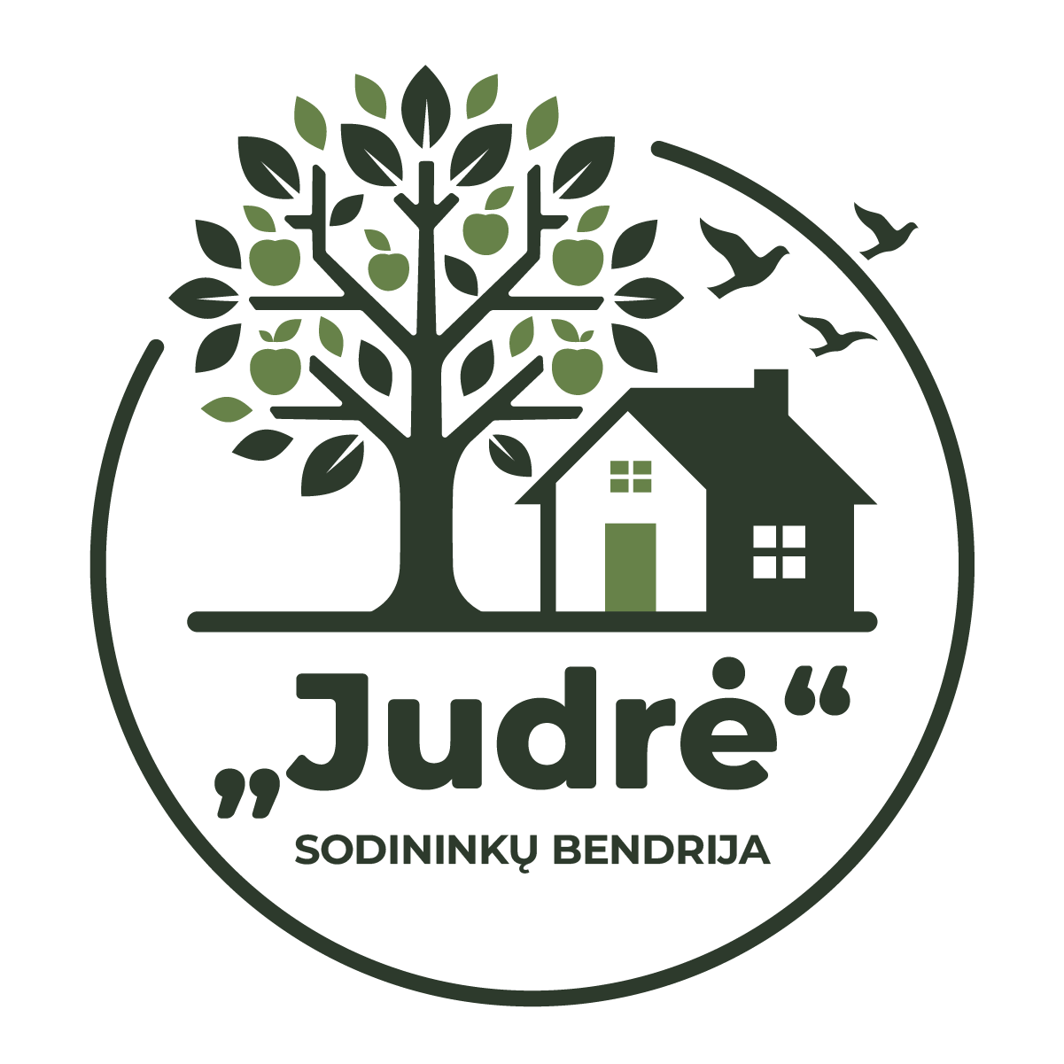 judressodai.w5.lt